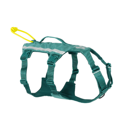 Non-stop Ramble harness long koiran valjaat, teal