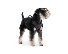Woolly Wolf Roam Harness koiran valjaat, black