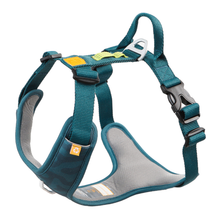 Woolly Wolf Roam Harness koiran valjaat, teal