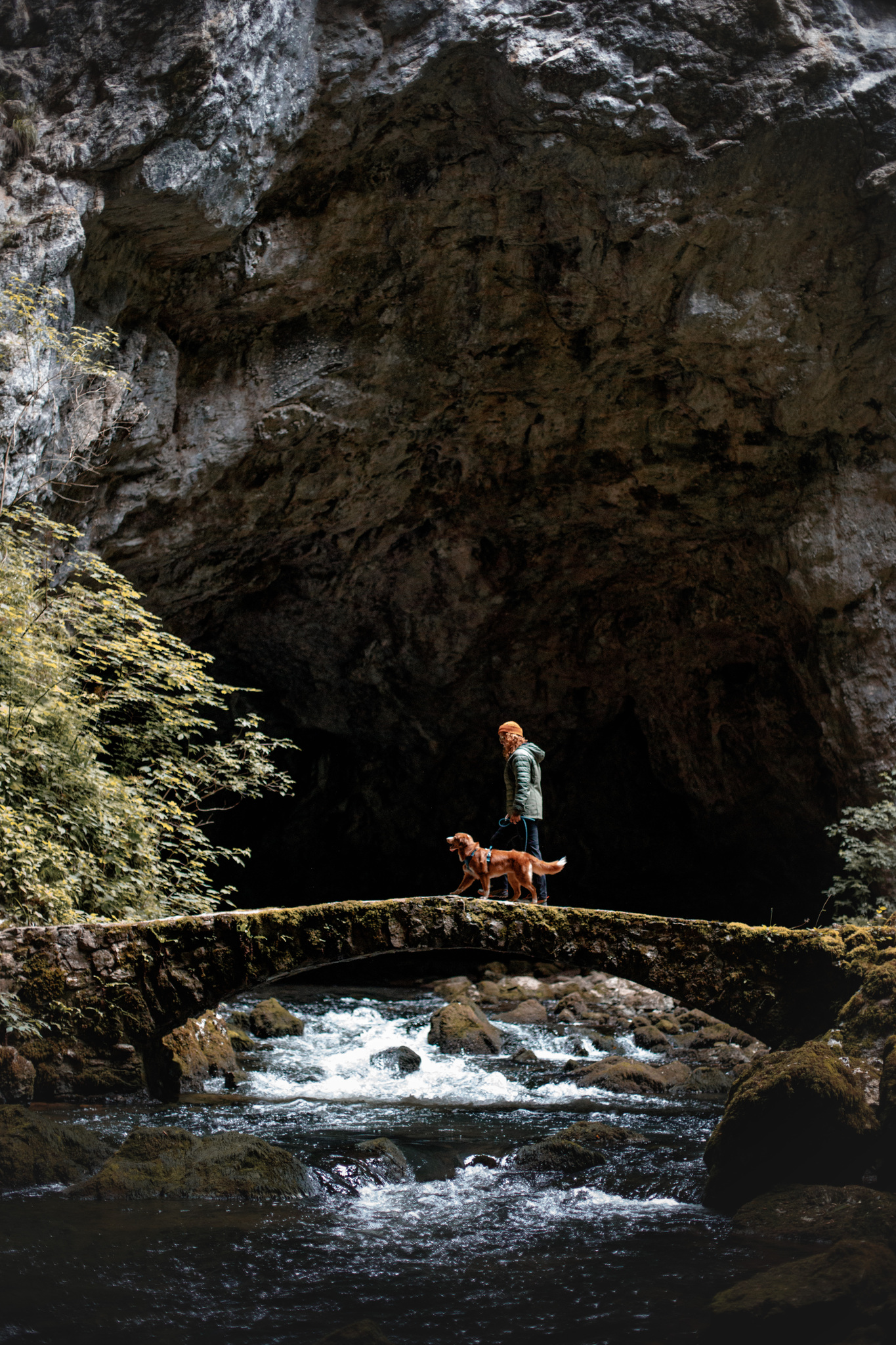 Woolly Wolf Roam Harness koiran valjaat, teal