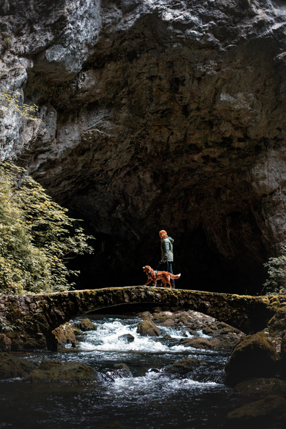 Woolly Wolf Roam Harness koiran valjaat, teal