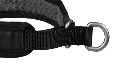 Non-stop Rock collar 3.0 koiran panta