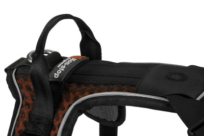 Non-stop Rock harness black/orange