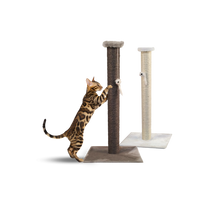 Sally raapimispylväs, valkoinen