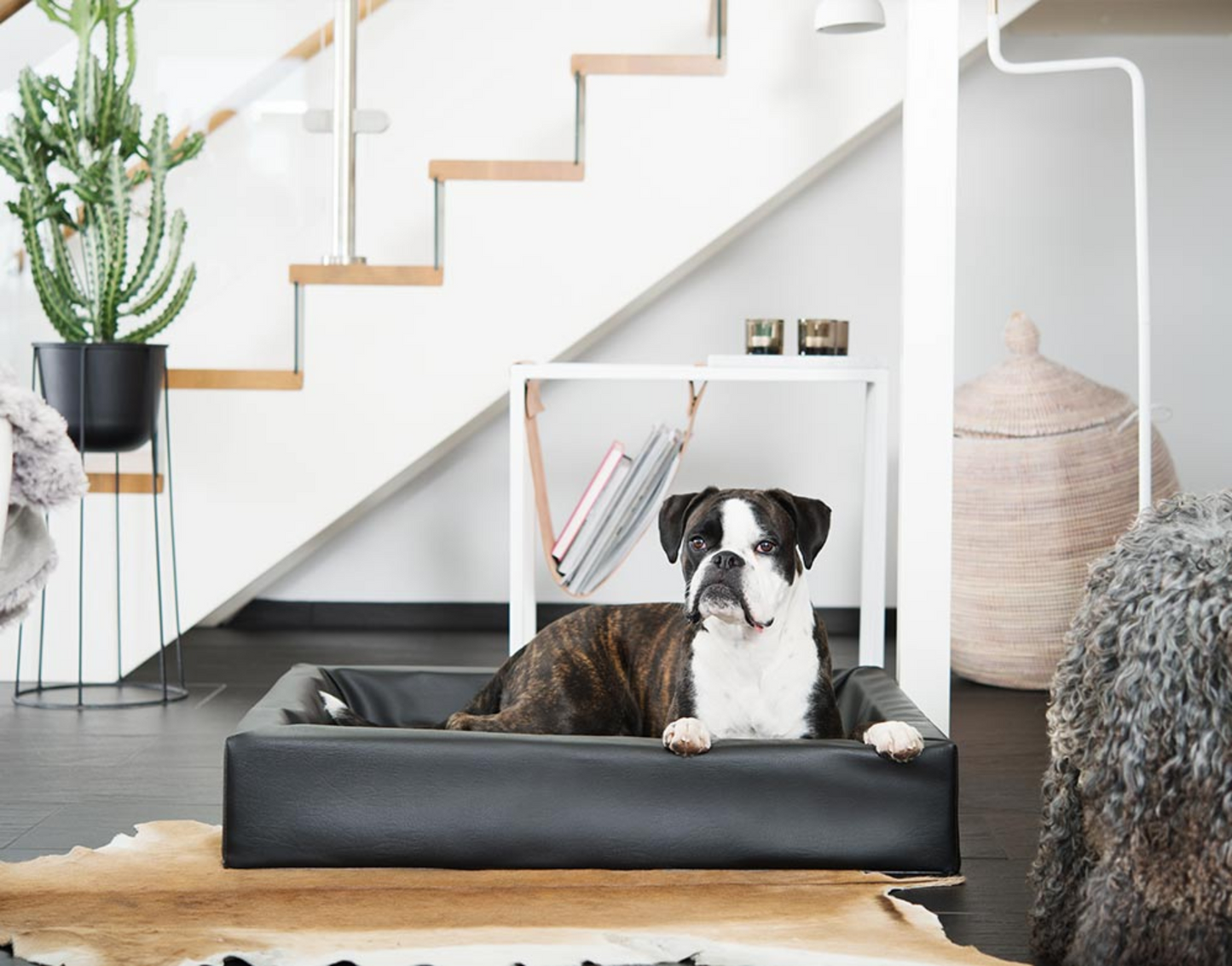 Bia Bed Classic koiranpeti, musta Nordic Pet Shop