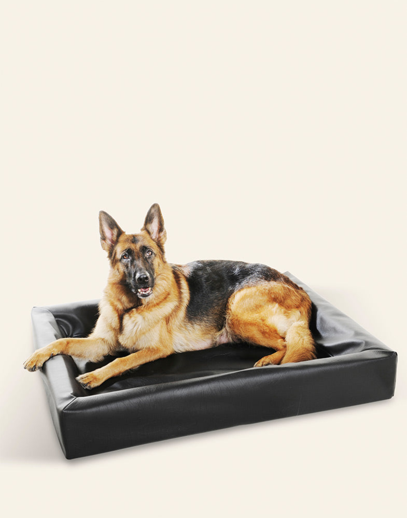 Bia Bed Classic koiranpeti, musta Nordic Pet Shop