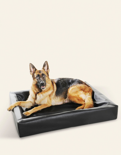 Bia Bed Classic koiranpeti, musta Nordic Pet Shop