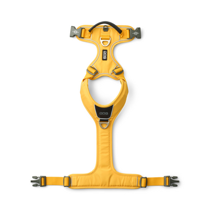 DOG Copenhagen Comfort Walk Pro Y-valjaat Nordic Pet Shop