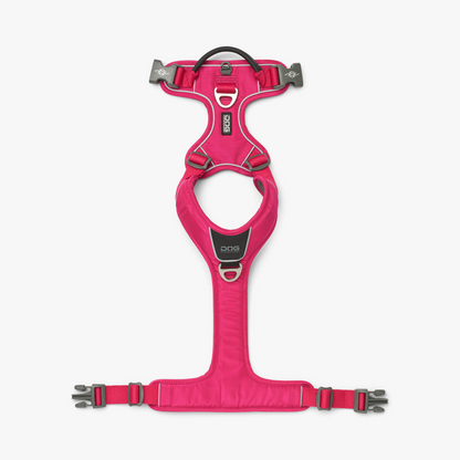 DOG Copenhagen Comfort Walk Pro Y-valjaat Nordic Pet Shop