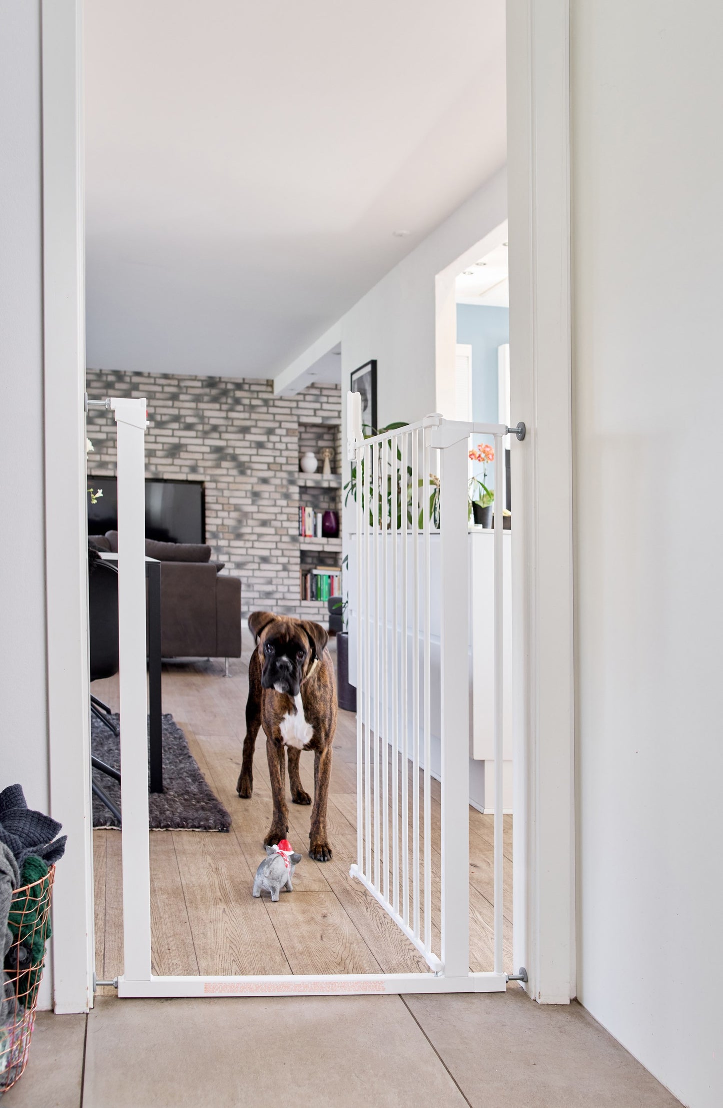 DogSpace Bonnie korkea koiraportti k. 104,5 cm l. 73,5-79,6 cm, valkoinen