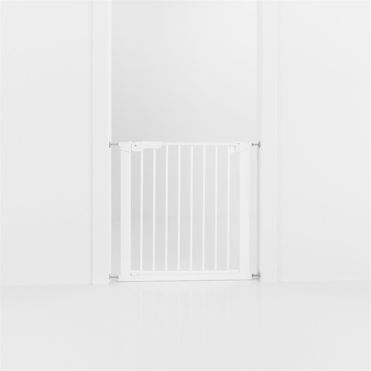 DogSpace Lassie koiraportti k. 72 cm l. 73,5-79,6 cm, valkoinen