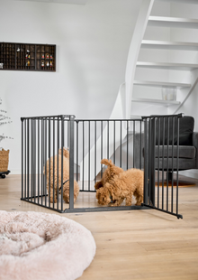 DogSpace Max Multi pentuaitaus portilla k. 70,5 cm, musta