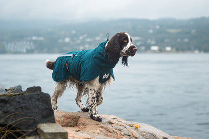 Non-stop Fjord lined raincoat koiran sadetakki