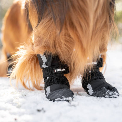 Finnero Halla Shoftshell heijastavat koiran tossut sopivat kaikkiin sääolosuhteisiin suojaamaan tassuja
