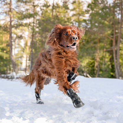 Finnero Halla Shoftshell heijastavat koiran tossut sopivat kaikkiin sääolosuhteisiin suojaamaan tassuja
