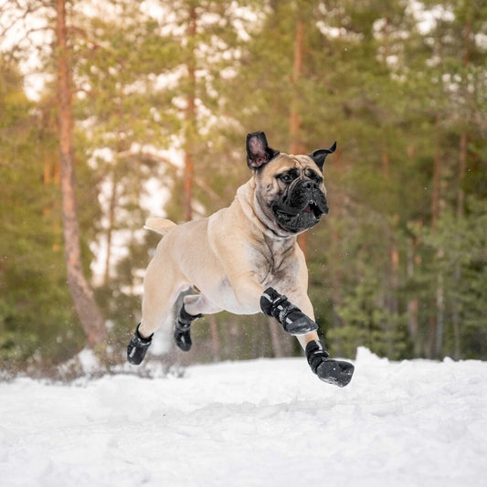 Finnero Halla Shoftshell heijastavat koiran tossut sopivat kaikkiin sääolosuhteisiin suojaamaan tassuja