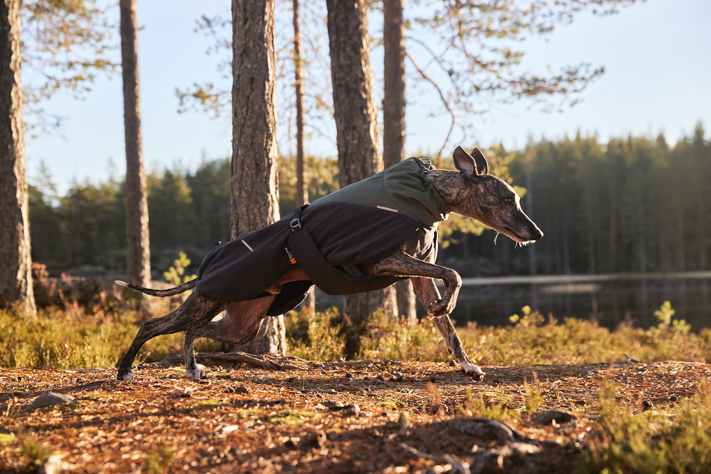 Non-stop Glacier wool jacket 2.0 koiran takki, green/grey