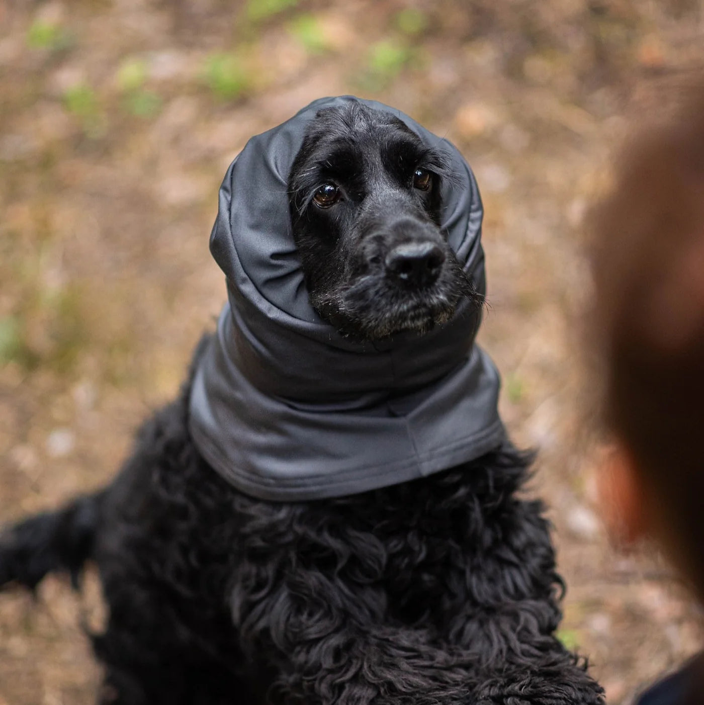 HuppuPomppa
