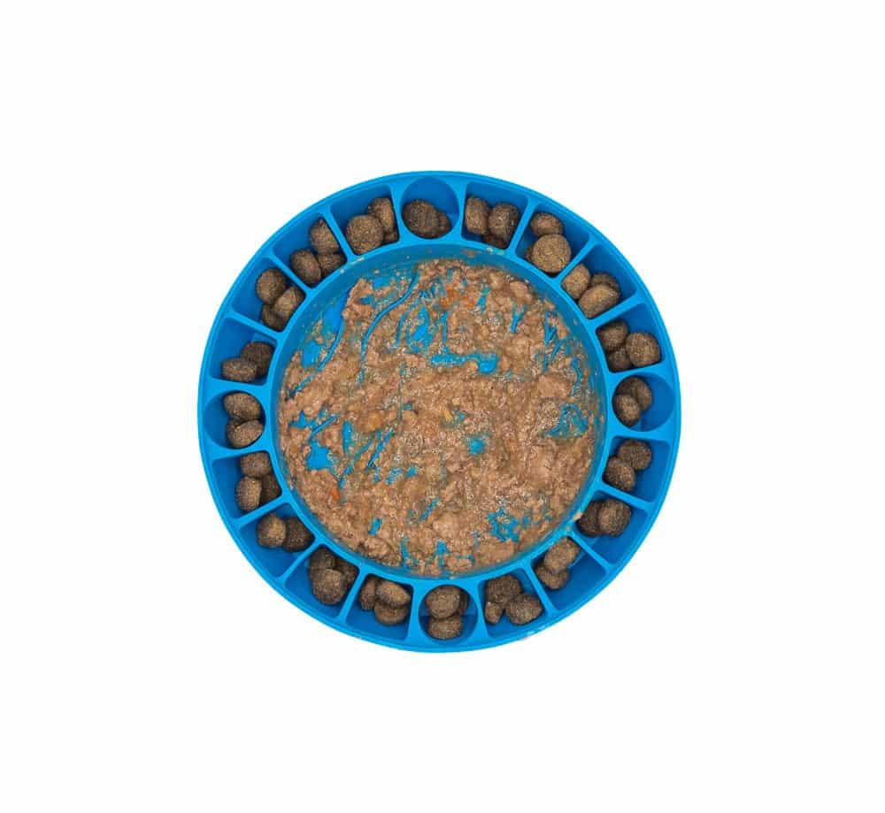 Iloplay Swan-e Bowl Suomessa valmistettu aktivointikuppi koirille ja kissoille, sininen