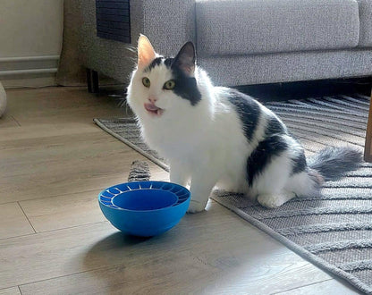 Iloplay Swan-e Bowl Suomessa valmistettu aktivointikuppi koirille ja kissoille, sininen