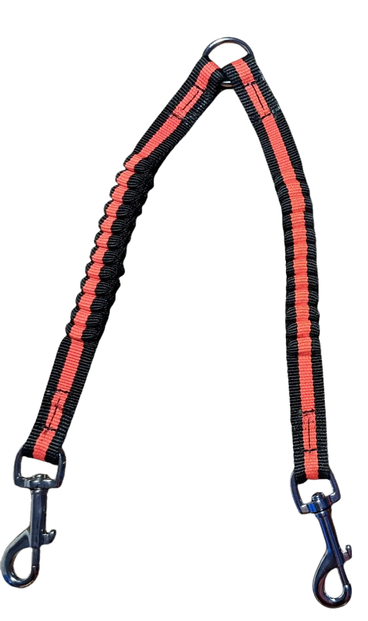 JOKKE Expa -hihnan jakaja kahdelle koiralle