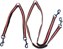 JOKKE Expa -hihnan jakaja kahdelle koiralle