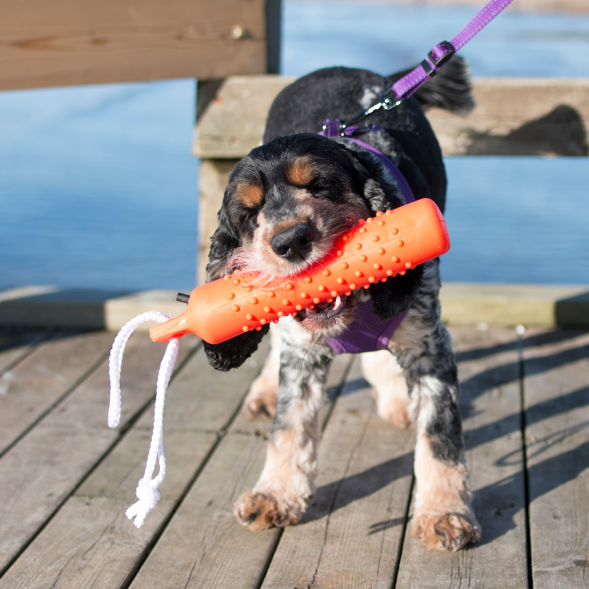 Kelluva Dummy-kumilelu Nordic Pet Shop
