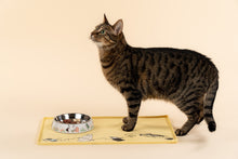 Muurla Moomin for Pets ruokakulho kissalle, valkoinen