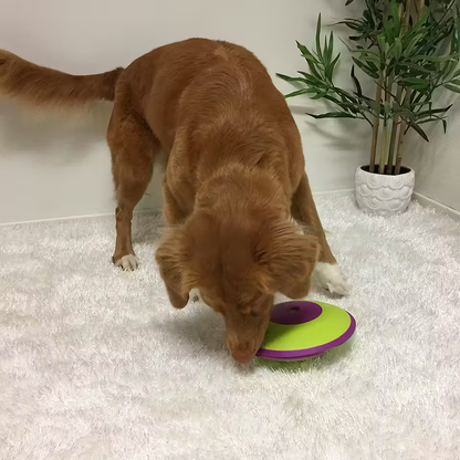 Nina Ottosson Dog Treat Maze -aktivointilelu koiralle, taso 2 Nordic Pet Shop