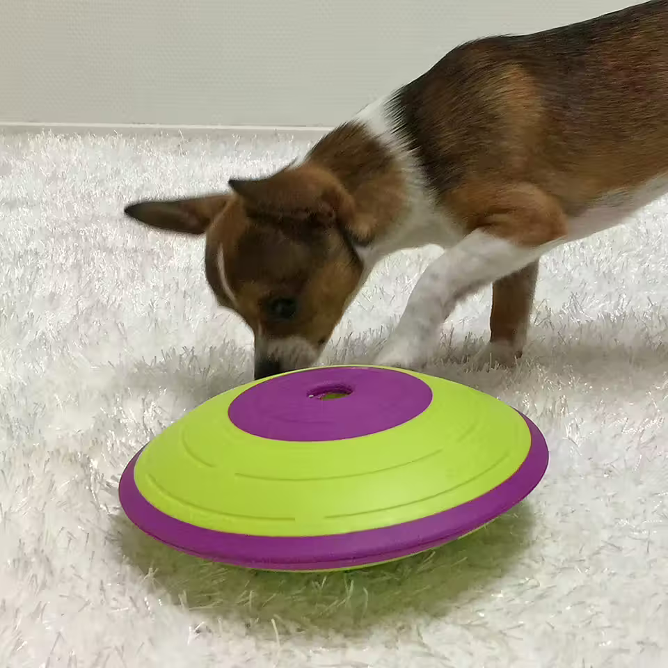 Nina Ottosson Dog Treat Maze -aktivointilelu koiralle, taso 2 Nordic Pet Shop