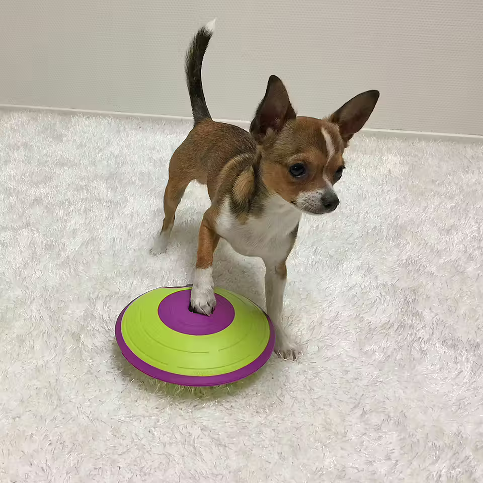 Nina Ottosson Dog Treat Maze -aktivointilelu koiralle, taso 2 Nordic Pet Shop
