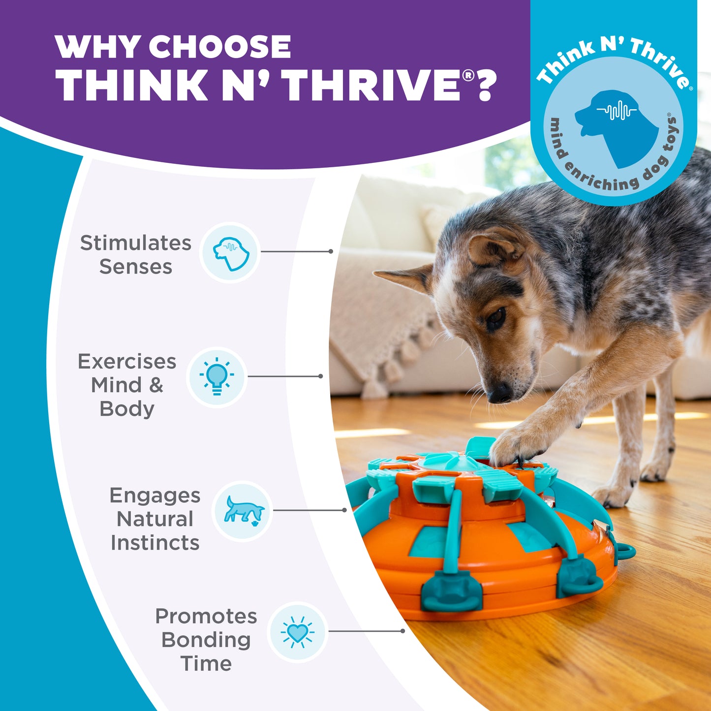 Nina Ottosson Tower of Treats -aktivointilelu, taso 4