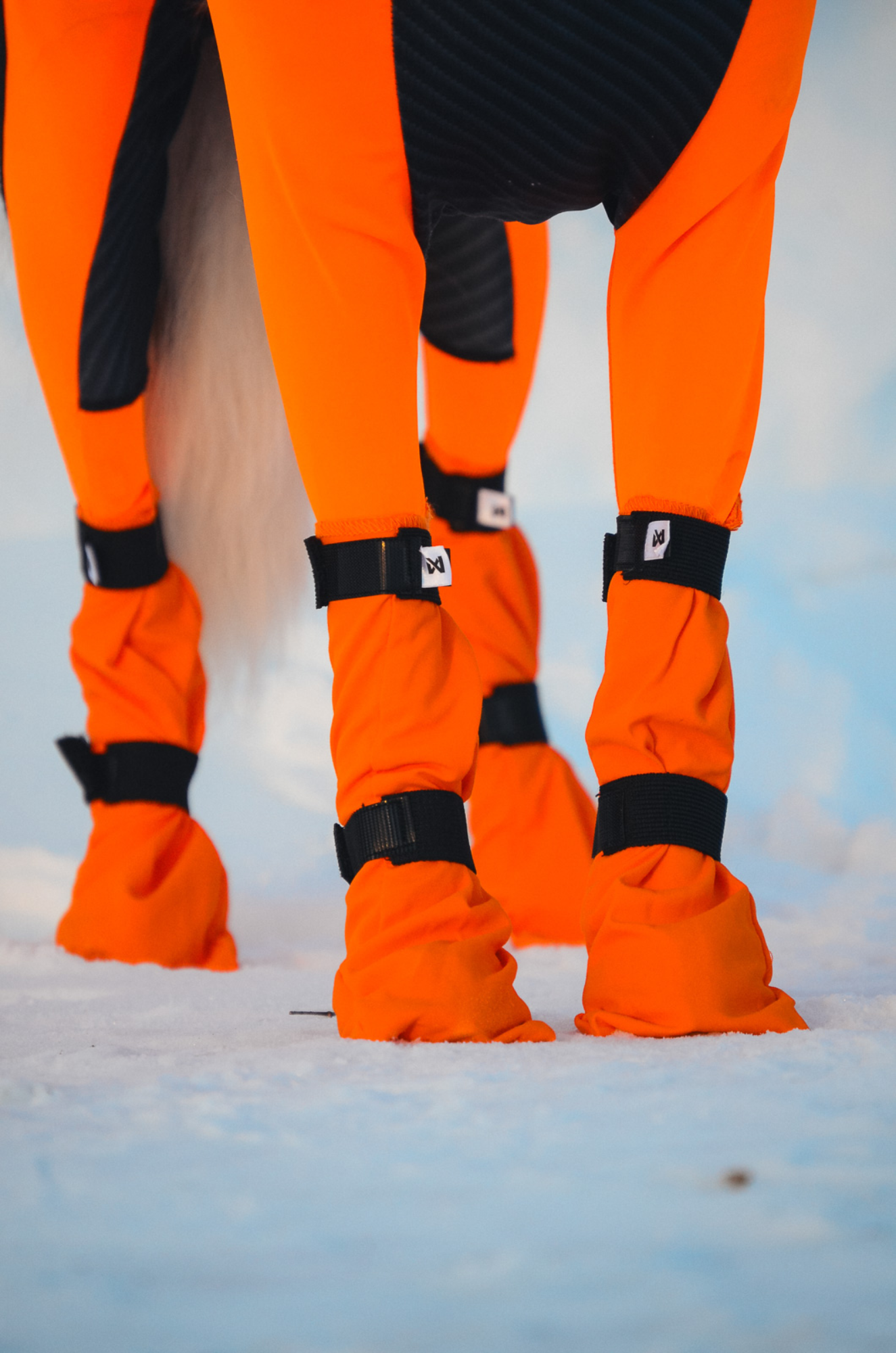 Non-stop Contact bootie high koiran tossut 4 kpl Nordic Pet Shop