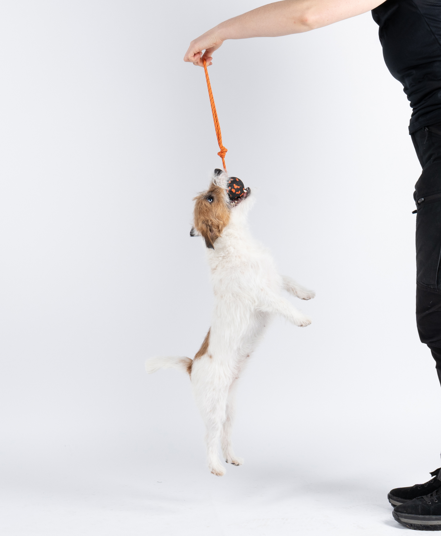 Non-stop Dog ball on rope -narupallo Nordic Pet Shop