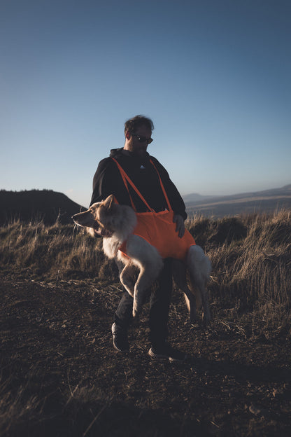 Non-stop Dog rescue sling koirankantoliina Nordic Pet Shop