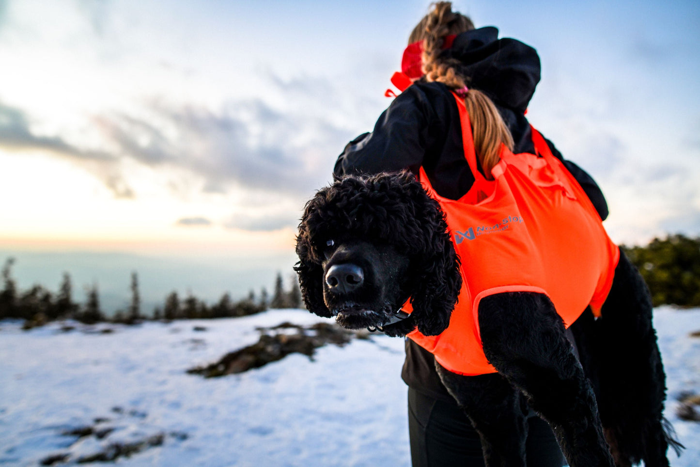 Non-stop Dog rescue sling koirankantoliina Nordic Pet Shop