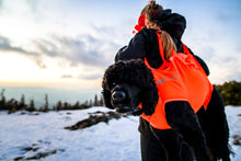 Non-stop Dog rescue sling koirankantoliina Nordic Pet Shop