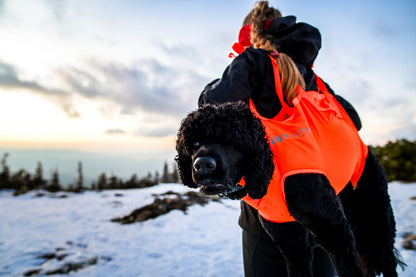 Non-stop Dog rescue sling koirankantoliina Nordic Pet Shop