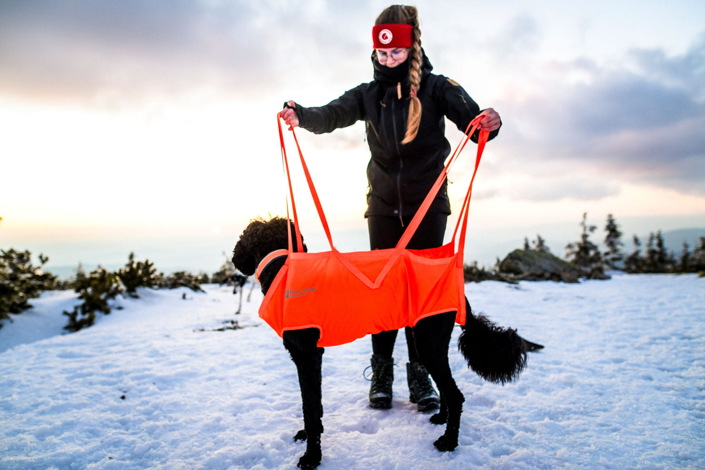 Non-stop Dog rescue sling koirankantoliina Nordic Pet Shop