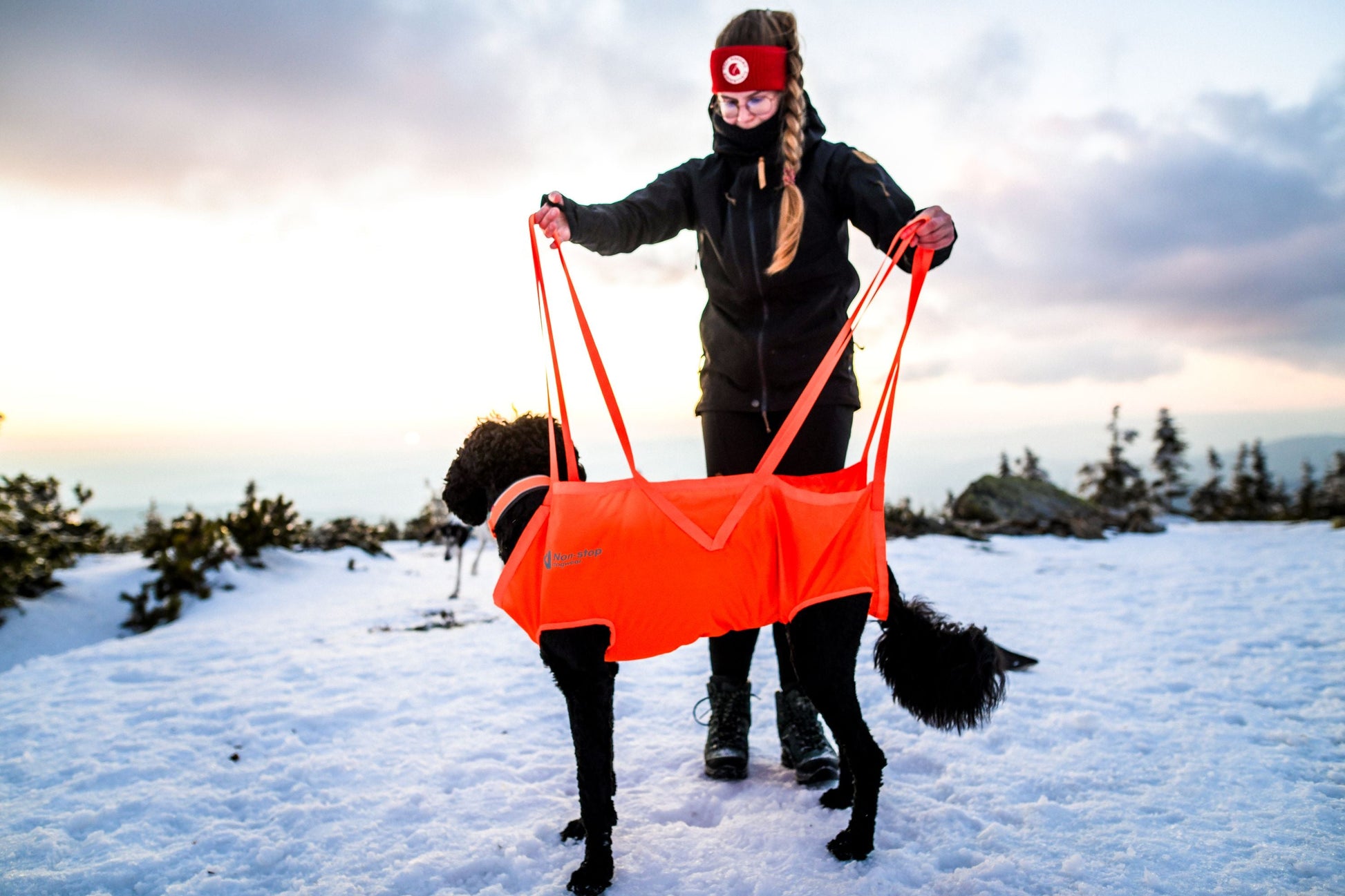 Non-stop Dog rescue sling koirankantoliina Nordic Pet Shop