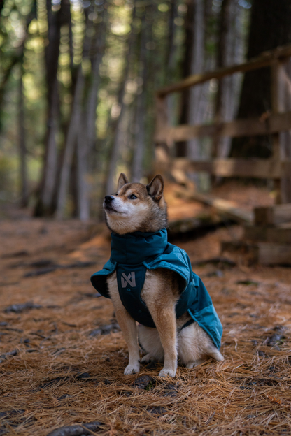 Non-stop Glacier jacket 3.0 koiran talvitakki Nordic Pet Shop