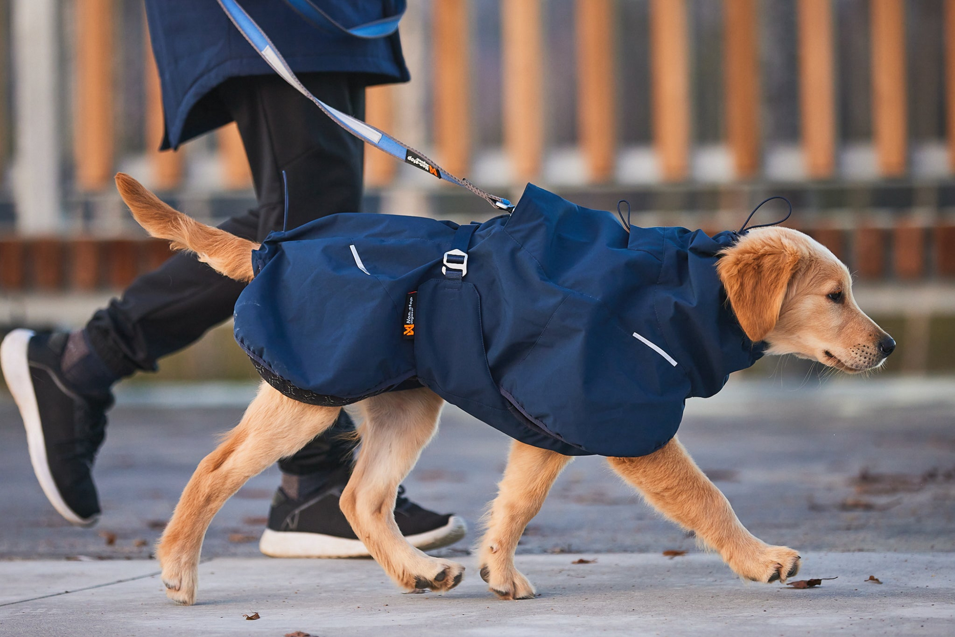 Non-stop Glacier wool jacket 2.0 koiran talvitakki Nordic Pet Shop