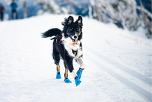 Non-stop Long Distance Bootie 4 kpl koiran tossut