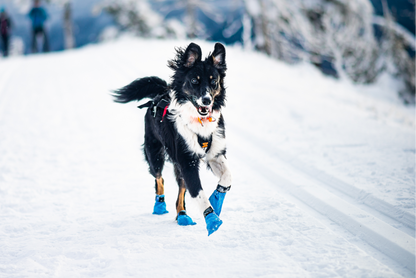 Non-stop Long Distance Bootie 4 kpl koiran tossut