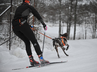 Non-stop Løype belt pro hiihto-/vetovyö, black Nordic Pet Shop