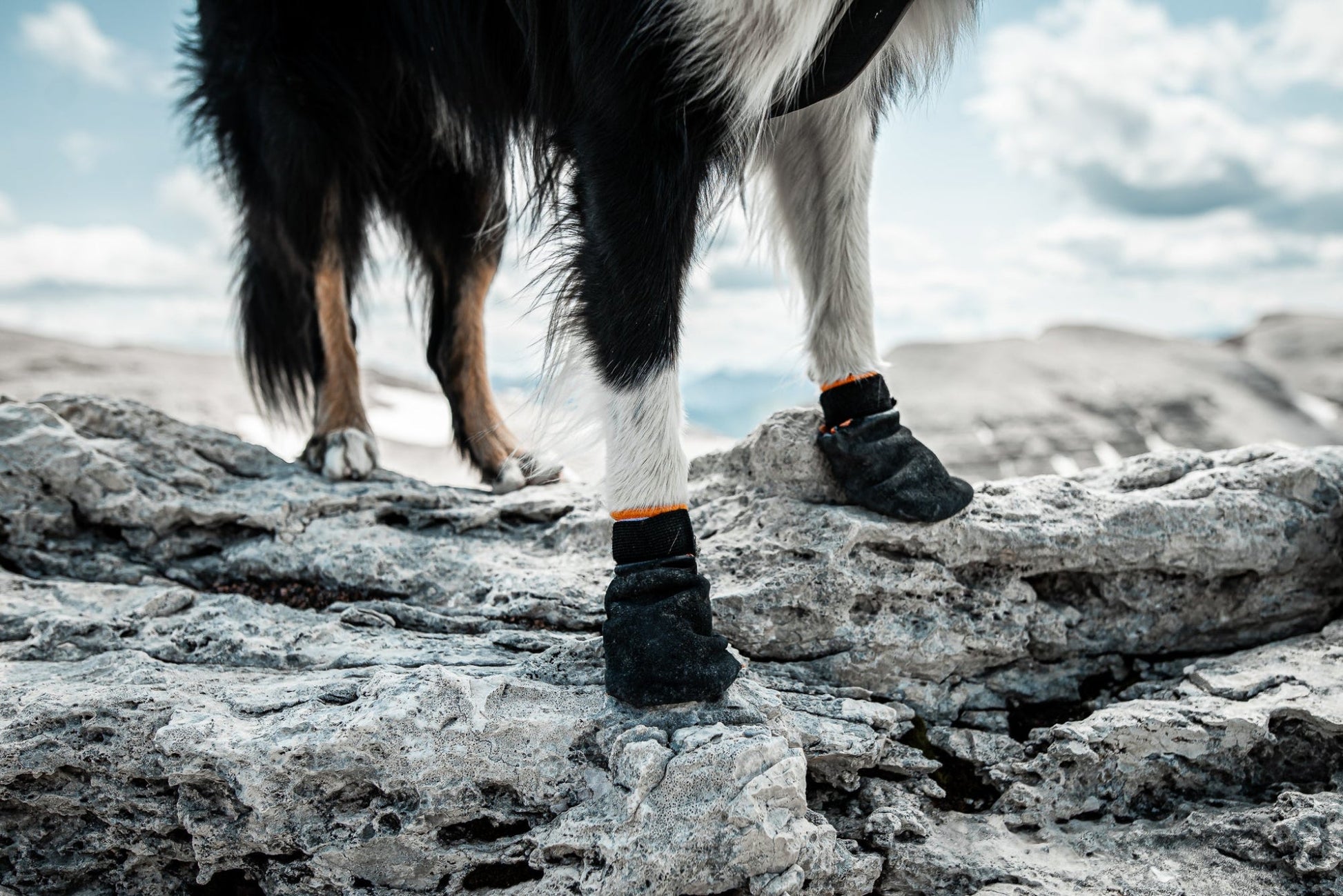 Non-stop Protector bootie black/orange 4kpl Nordic Pet Shop
