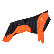 Non-stop Protector Snow lumihaalari female / narttu