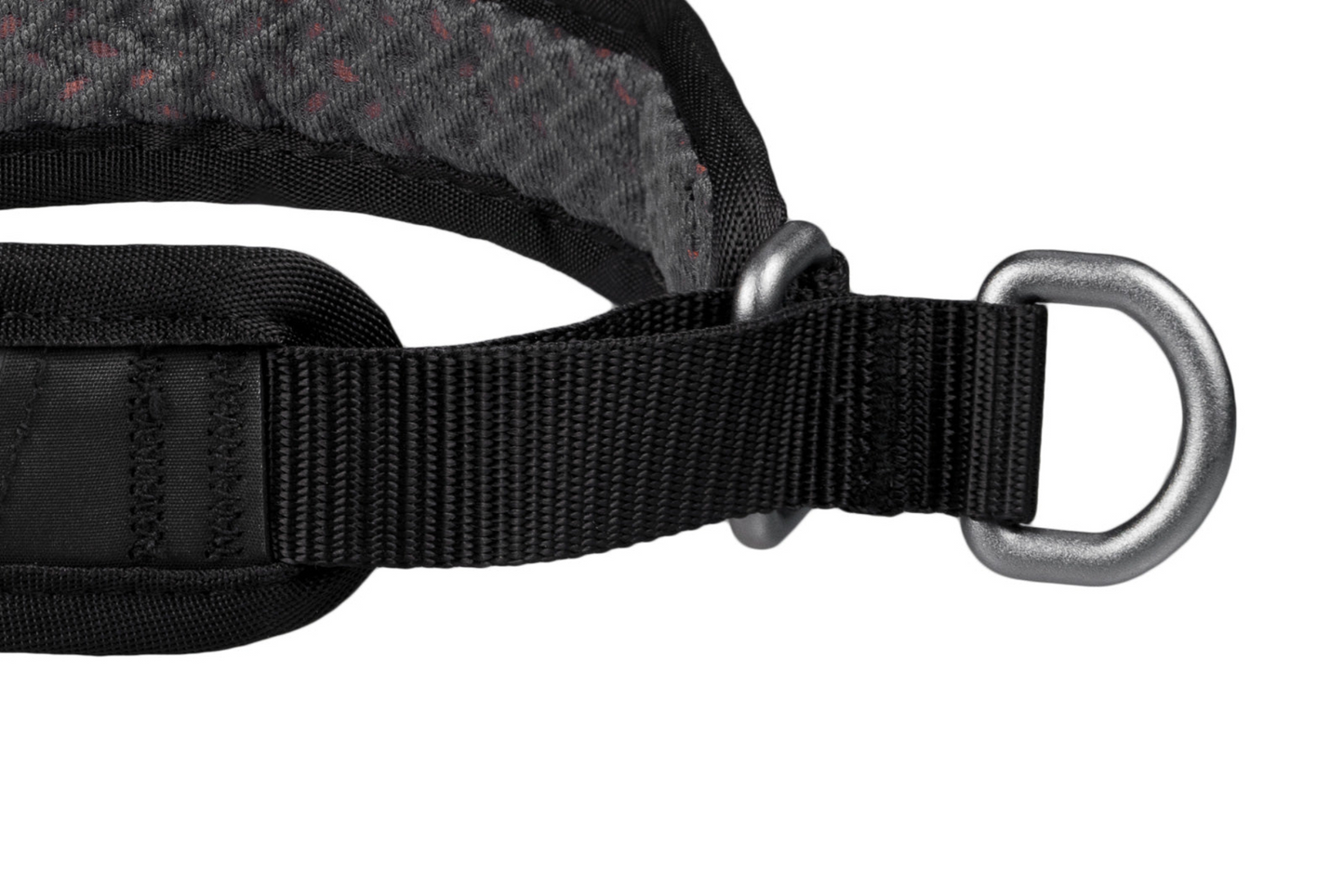 Non-stop Rock collar 3.0 koiran panta Nordic Pet Shop