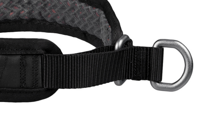 Non-stop Rock collar 3.0 koiran panta Nordic Pet Shop