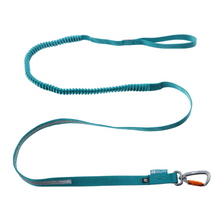 Non-stop Touring bungee leash koiran hihna 2,8 m, teal
